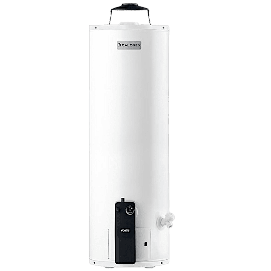 Boiler Depósito 58 LT Gas Natural 1.5 Servicios G15 3270059 Calorex Fortis