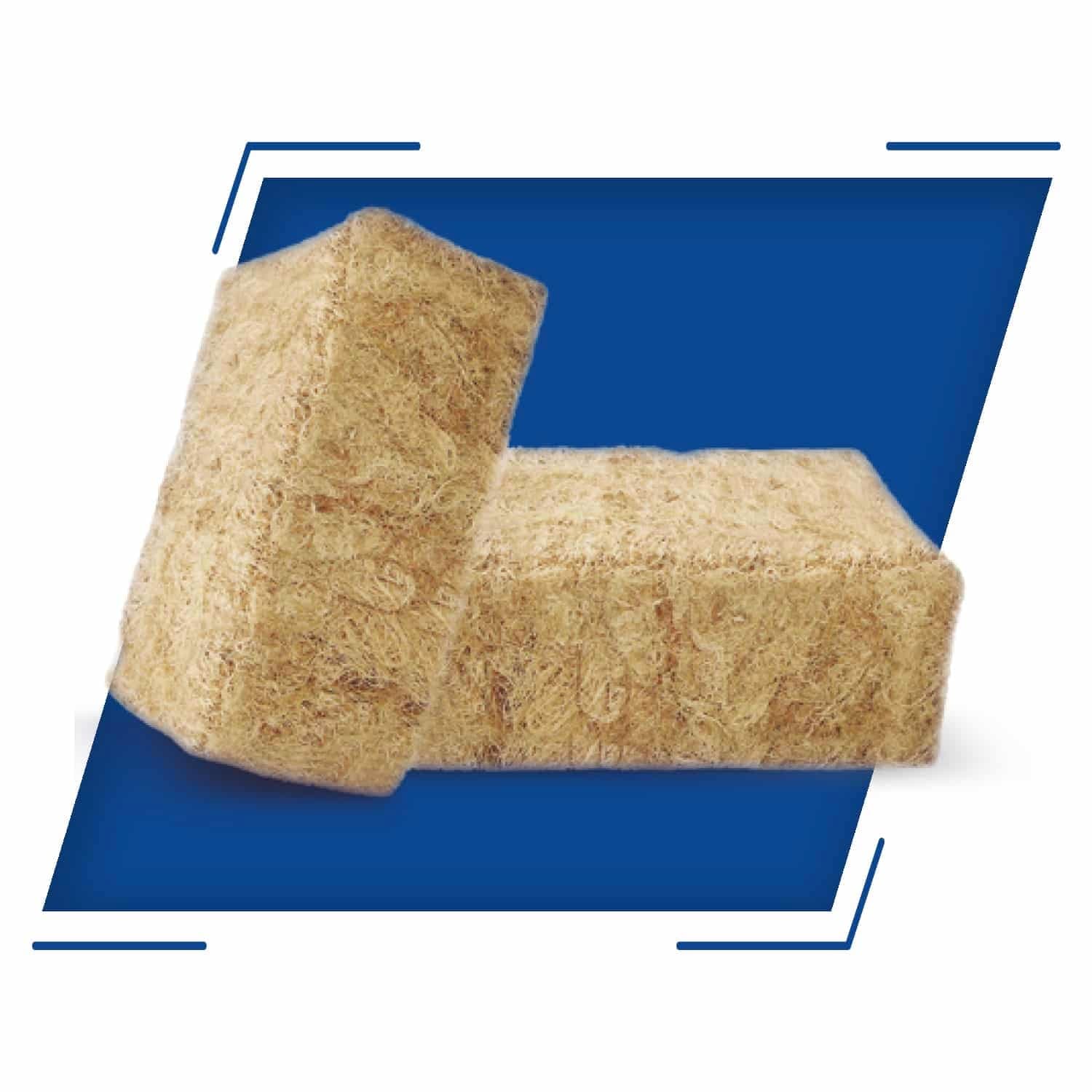 Paja x KG